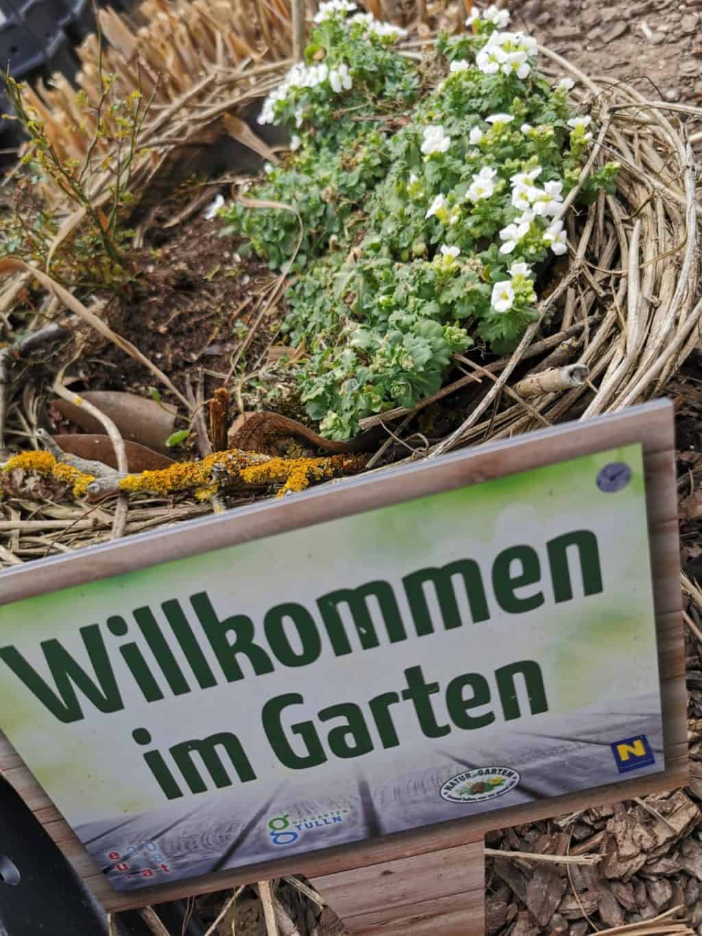 10. Tag häckseln Tagebuch Bild 1