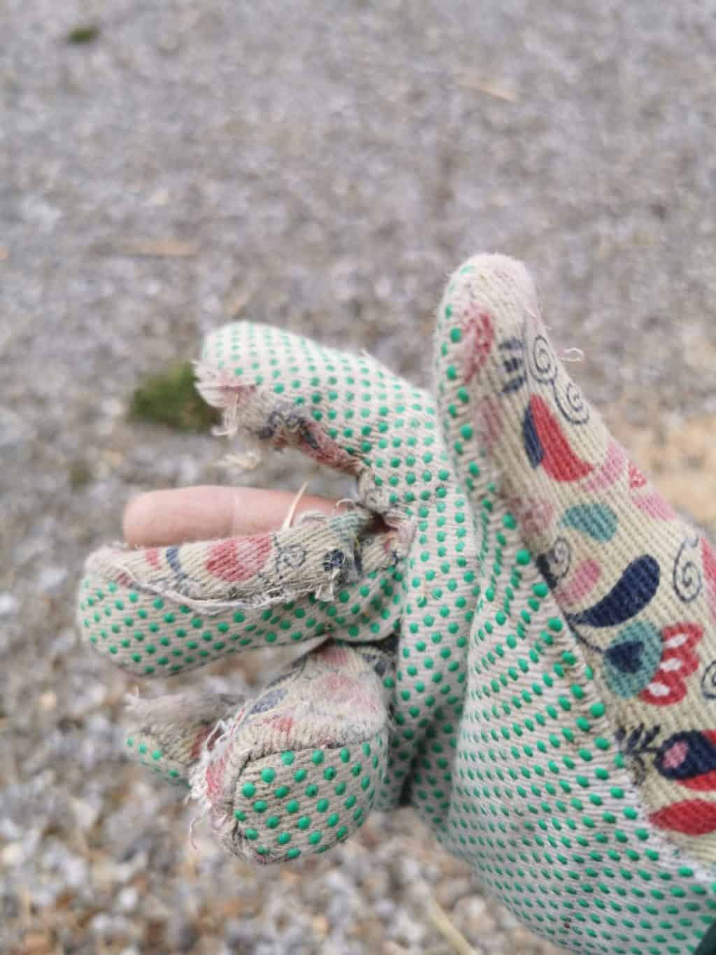 10. Tag häckseln Tagebuch Bild 4