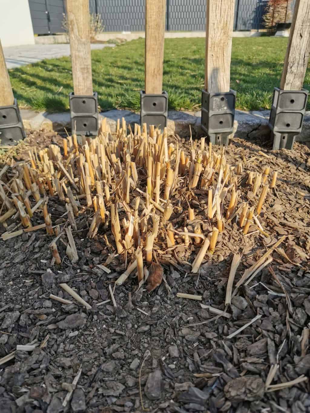 7. Tag Gartenarbeit Corona Tagebuch Bild 1
