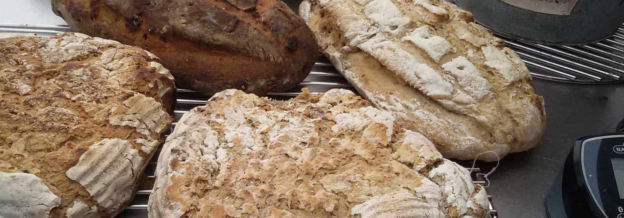 Brotbackseminar mit Adi Matzek und Jennifer Gruber - Gewinnerin 2019 Kruste&Krume