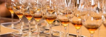 Rum Tasting Adi Matzek