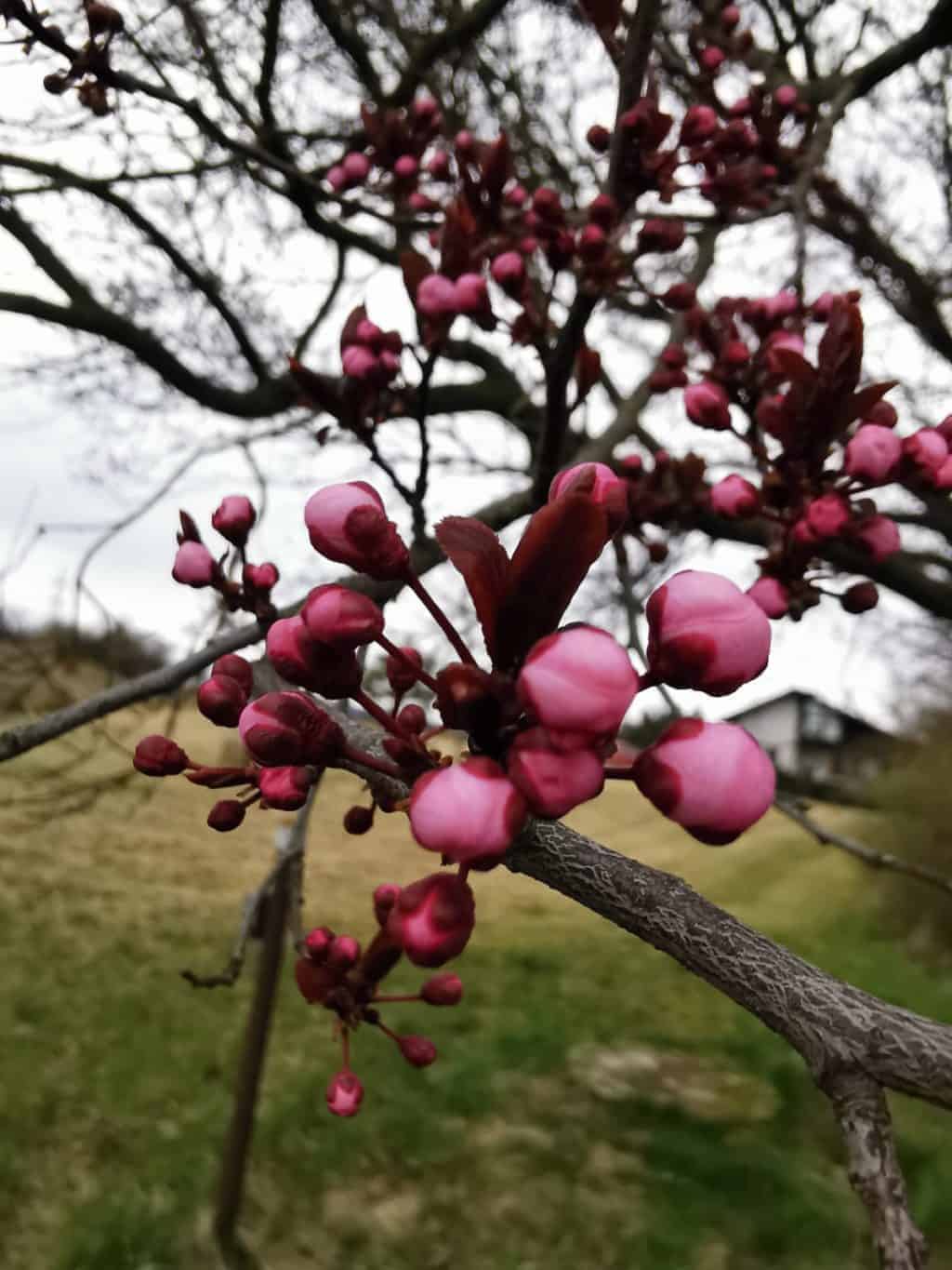 16. Tag Spaziergang Tagebuch Bild 10
