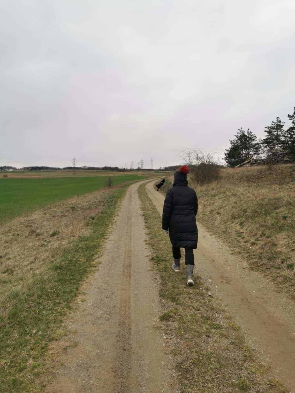 16. Tag Spaziergang Tagebuch Bild 2