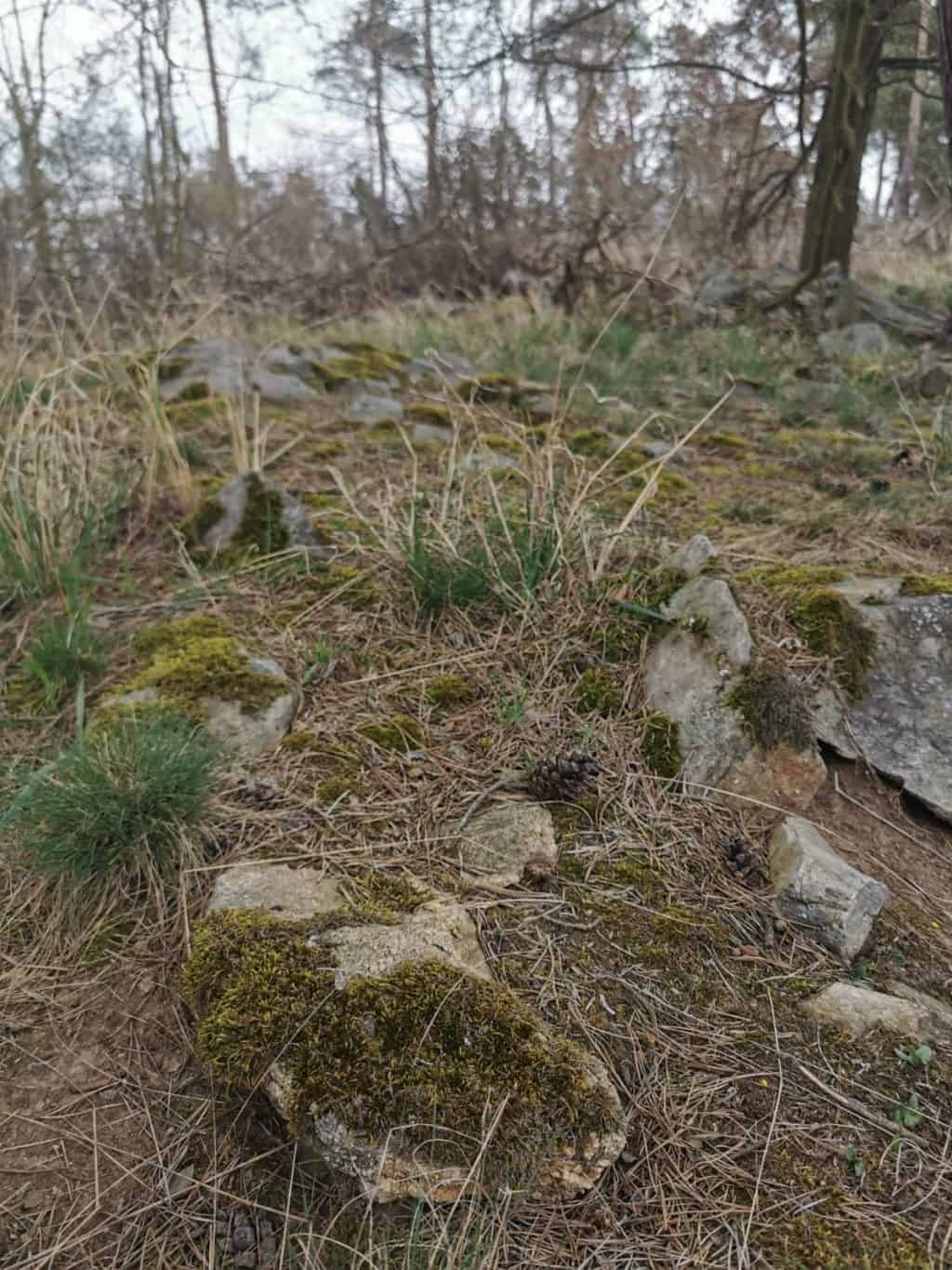 16. Tag Spaziergang Tagebuch Bild 4