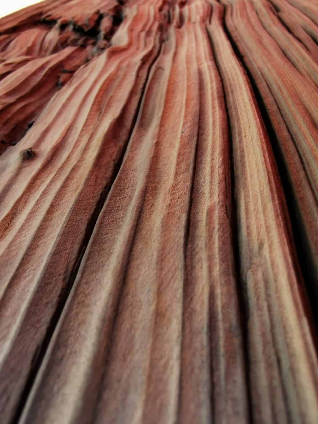 36. Tag Mein Holz Corona Tagebuch Bild 1