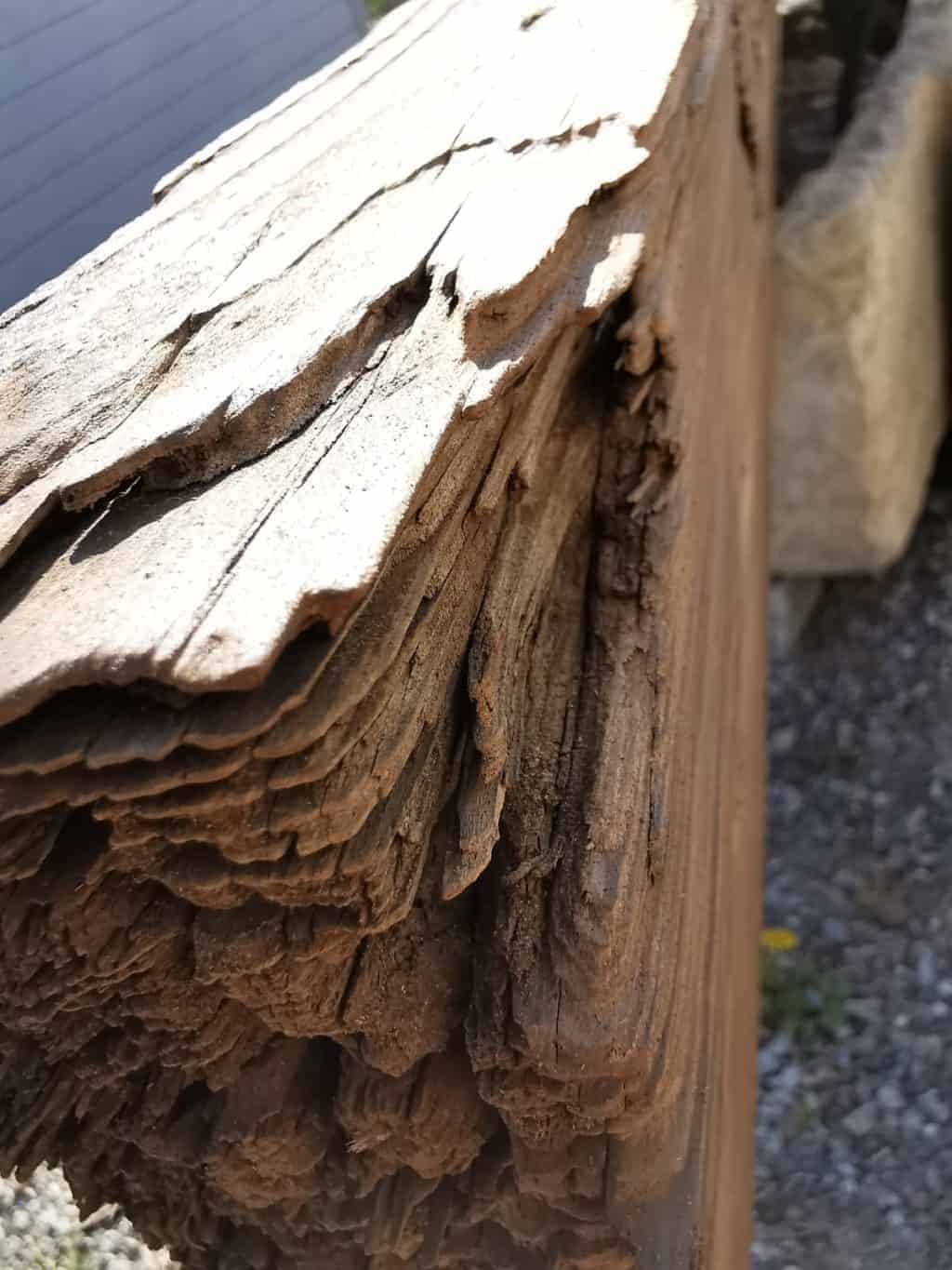 36. Tag Mein Holz Corona Tagebuch Bild 6