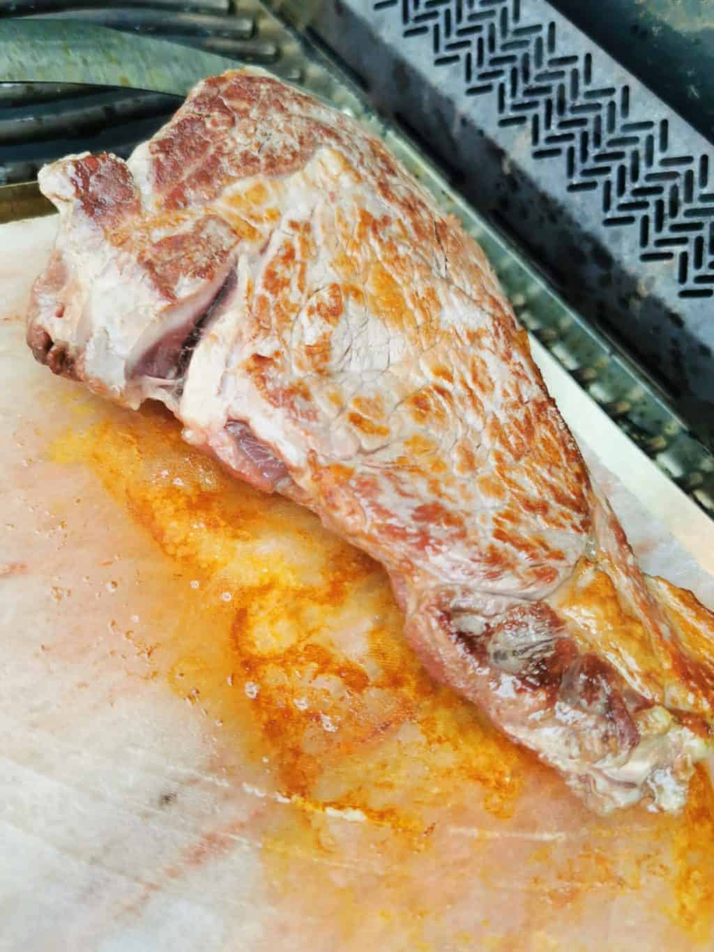 46. Tag Rostbraten auf Salzstein Corona Tagebuch Bild 5