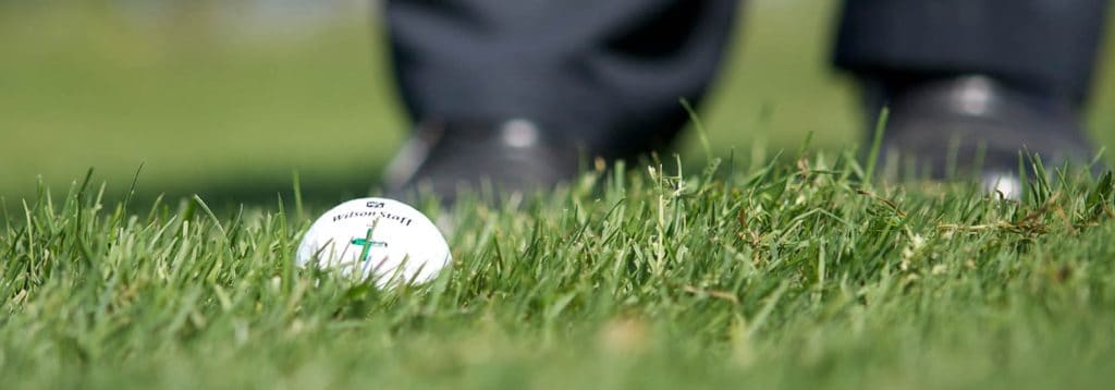 Golfball im Gras