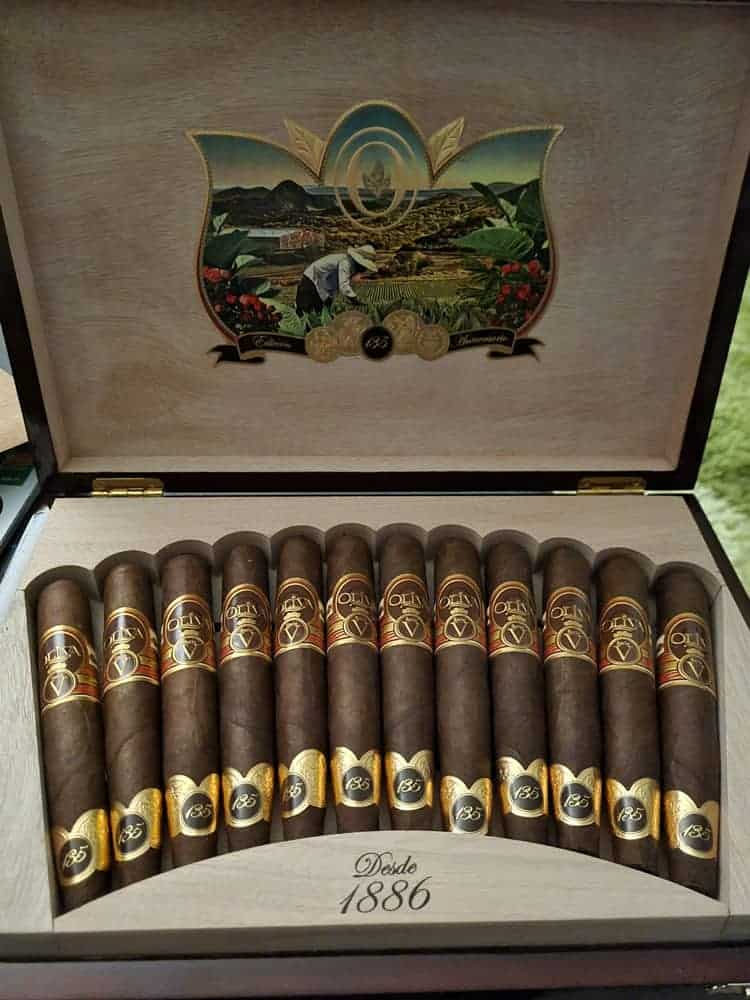 Oliva Zigarren in Schatulle